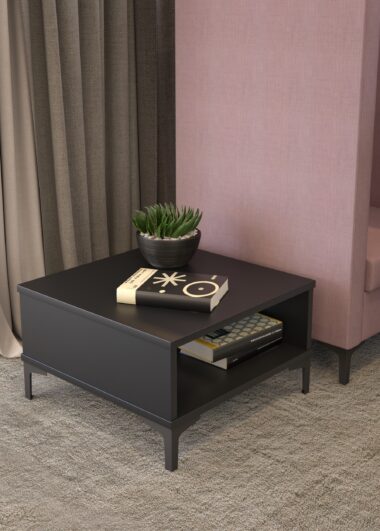 Georgia Brochure Image