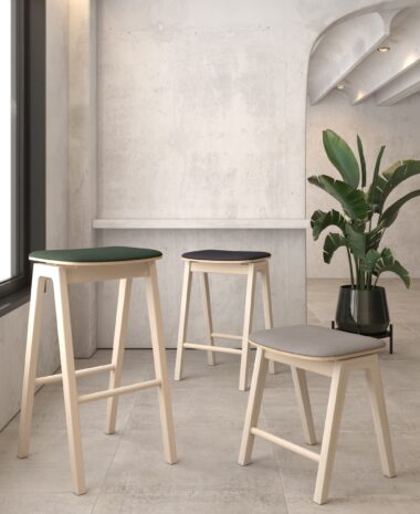 Ritz Stool Brochure Image