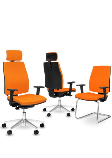 Match Brochure Image