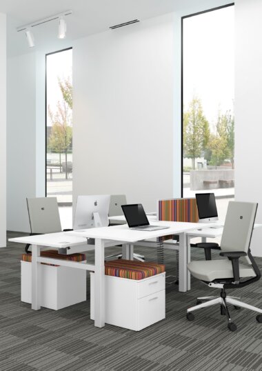 Progress Lite Brochure Image