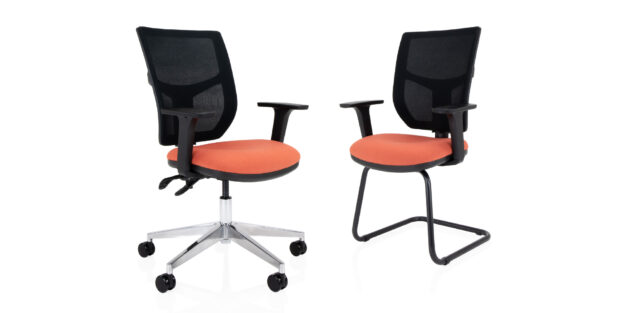 Team Plus Mesh Feature